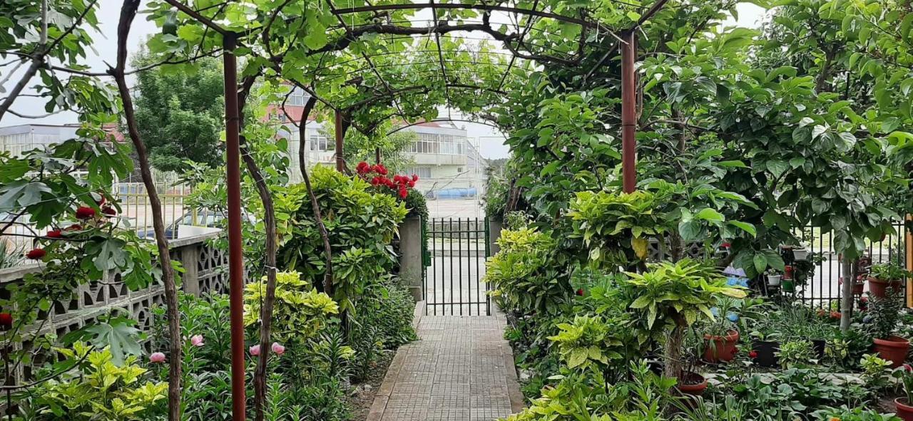 Family House Primorsko 아파트 외부 사진