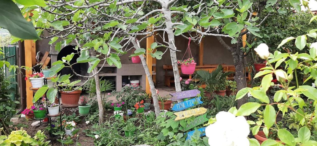 Family House Primorsko 아파트 외부 사진